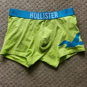 Mens Hollister trunks